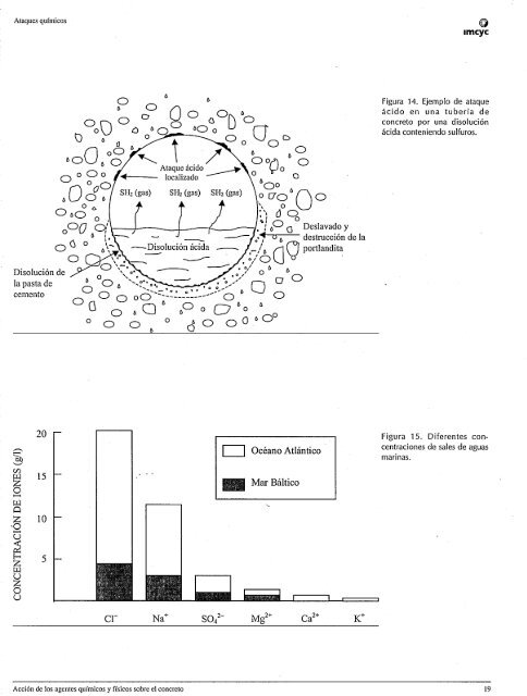 ACCION_DE_LOS_AGENTES_QUIMICOS_Y_FISICOS_SOBRE_EL_CONCRETO 