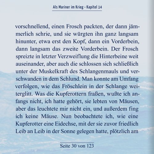 Als Mariner im Krieg - Kapitel 14