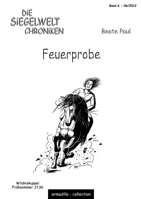 Siegelwelt-Chroniken - Die Feuerprobe / von Beate Weirich