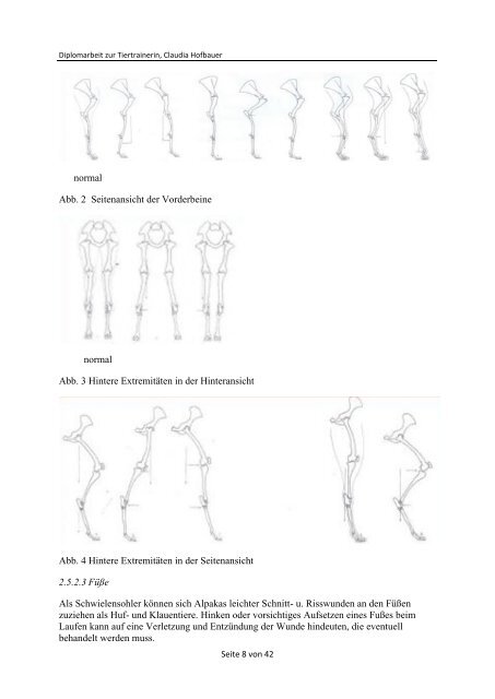 Diplomarbeit_30.06.17