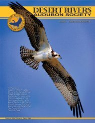 Desert Rivers Audubon Newsletter - Summer 2012 