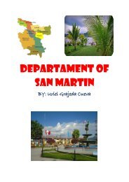 DEPARTAMENT OF SAN MARTIN