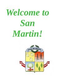 san_martin