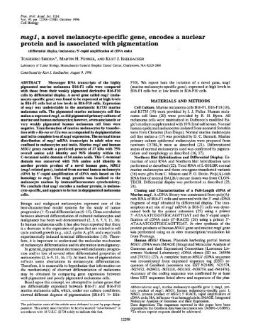 msgl, a novel melanocyte-specific gene, encodes a nuclear protein ...