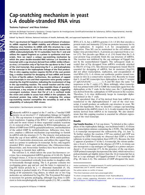 Cap Snatching Mechanism In Yeast L A Double Stranded Rna Virus Cap Snatching Mechanism In Yeast L A Double Stranded Rna Virus