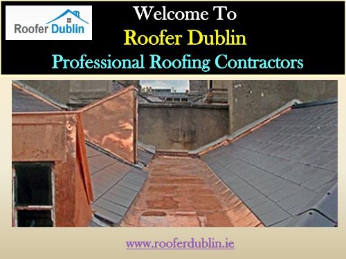 Roofing Repairs in  Dublin