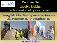 Residential Roof Repair in Dublin