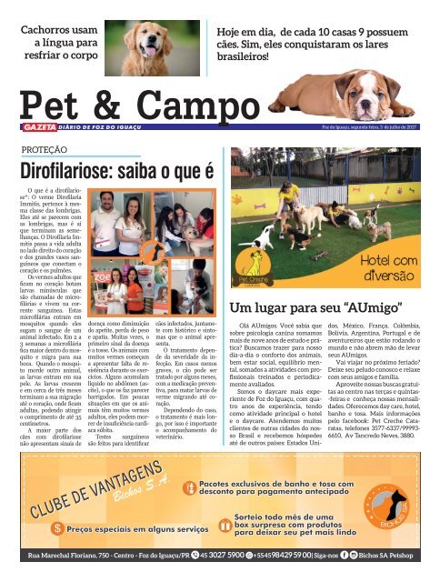 GAZETA DIARIO 321