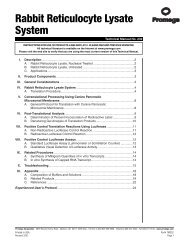 Rabbit Reticulocyte Lysate System Technical Manual, TM232