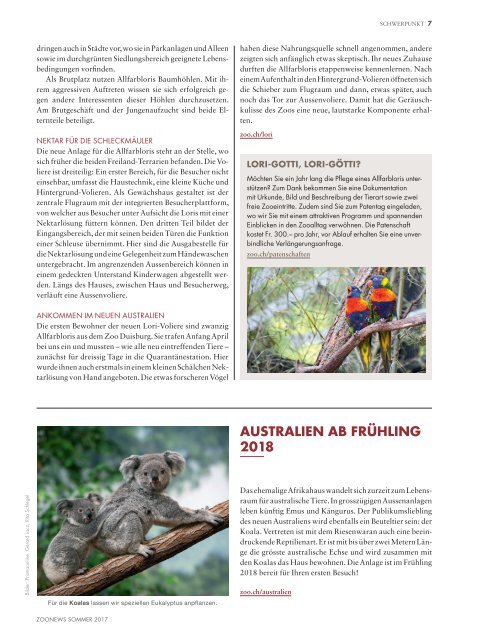 Zoonews Sommer 2017