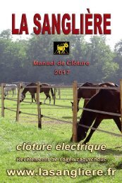 LASANGLIERE_fr_2017