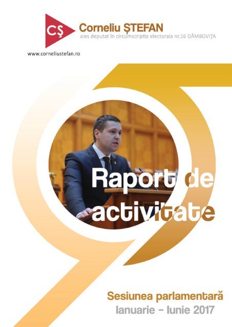 Raport-de-Activitate-Stefan-Corneliu-Ianuarie-Iunie-2017-4.compressed