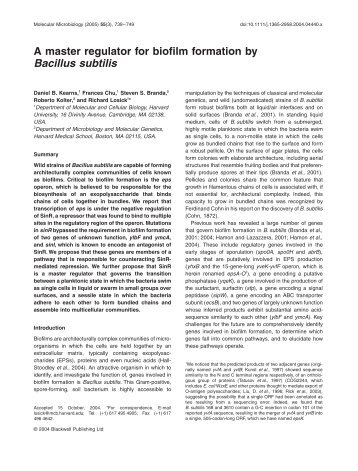 A master regulator for biofilm formation by Bacillus subtilis