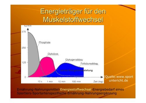 Sportgerechte Ernährung