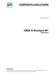 COMPOSITESOLUTIONS CIREX Si Bouchpor W1