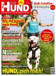 DerHund_0817