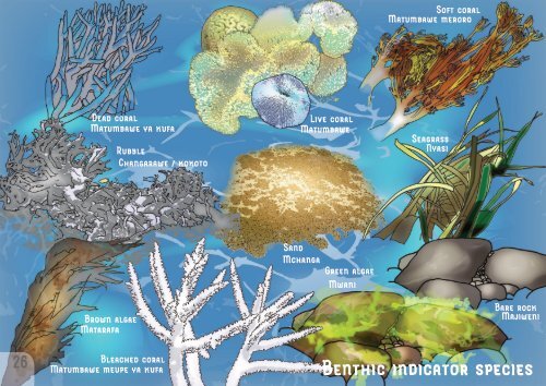 TNC-CORDIO coral reef monitoring manual_book_coral1