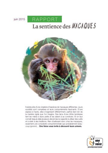 La sentience des macaques