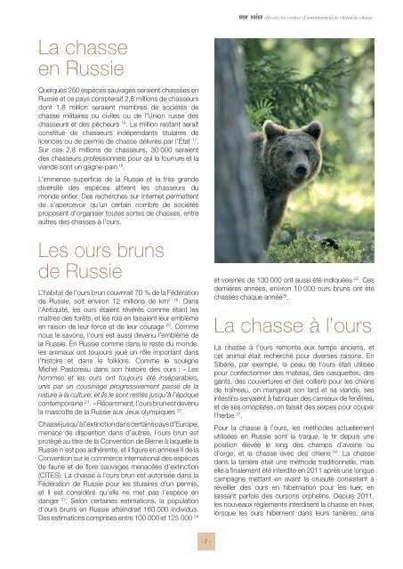 Rapport Ours Russie