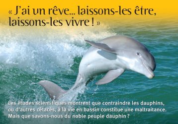 Carte sentience dauphins