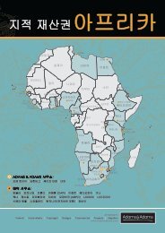 지적 재산권아프리카 | IP in Africa (Korean)
