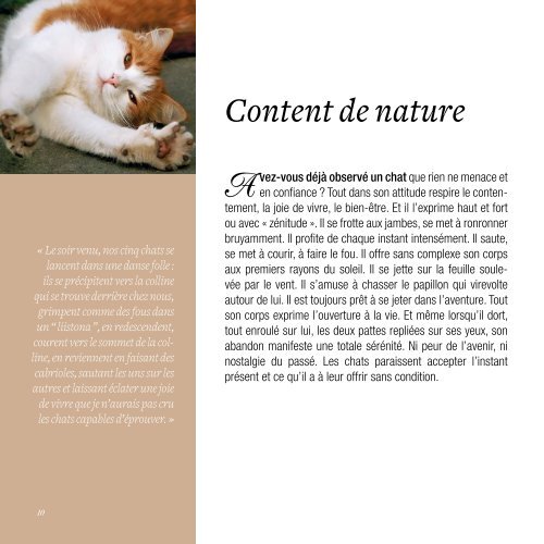 BAT Livre Les chats DER