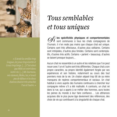 BAT Livre Les chats DER