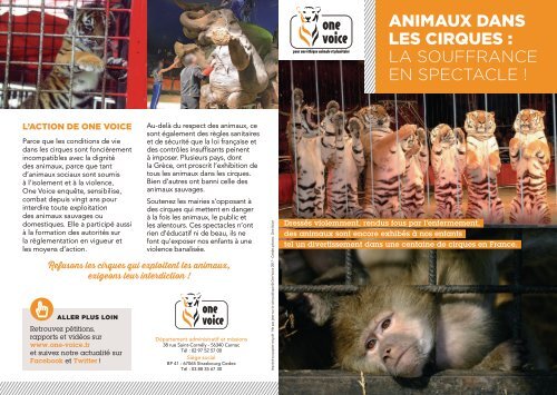 Animaux dans les cirques