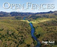 Open Fences Summer 2017