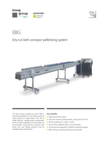 EBG Belt Conveyor Pelletizer - Maag