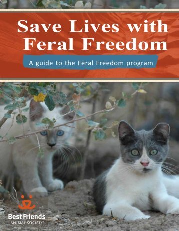 Feral Cats Guide