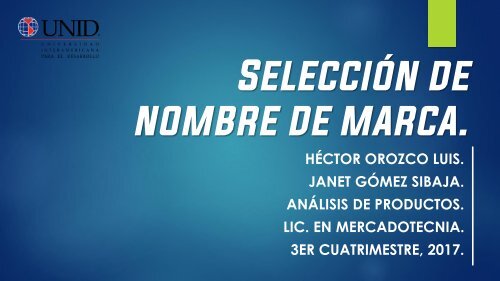 AP - Selección de nombres de marcas - Hector Orozco