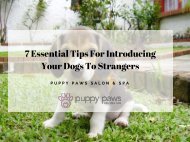 7 Essential Tips For Introducing Your Dogs To Strangers