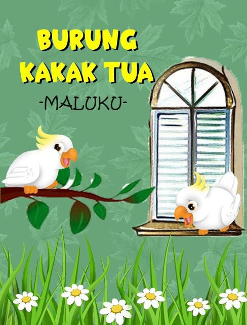 BURUNG KAKAK TUA- maluku