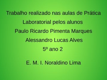 Biomas Brasileiros Paulo Ricardo e Alessandro 5º ano 2