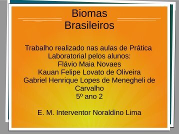 Biomas brasileiros Flávio,  Kauan e Gabriel 5º ano 02