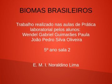 Biomas Brasileiros Wendel e João Pedro 5º ano 02 