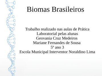 Biomas Brasileiros Geovania Cruz e Mariane Fernandes 5º ano sala 3