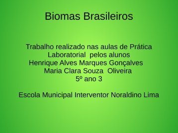 Biomas  Brasileiros Henrique e Maria Clara 5º ano sala 3