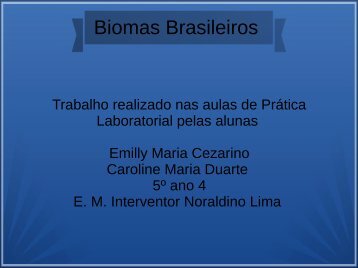 Biomas Brasileiros Emilly e Caroline 5º ano 04 