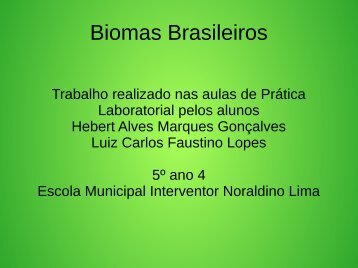 Biomas Brasileiros Hebert  e Luiz Carlos 5º ano 04