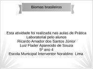 Biomas Brasileiros Ricardo e Luiz Flader 5º ano 04