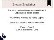 Biomas Brasileiros Guilherme e Leonardo 5ª ano sala 8