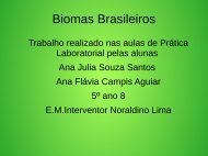 Biomas Brasileiros Ana Flavia e  Ana Julia 5º ano sala 8