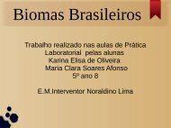 Biomas Brasileiros Karina e Maria Clara  5º ano sala 8