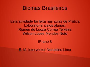 Biomas Brasileiros Romeu e Wilson  5º ano 08