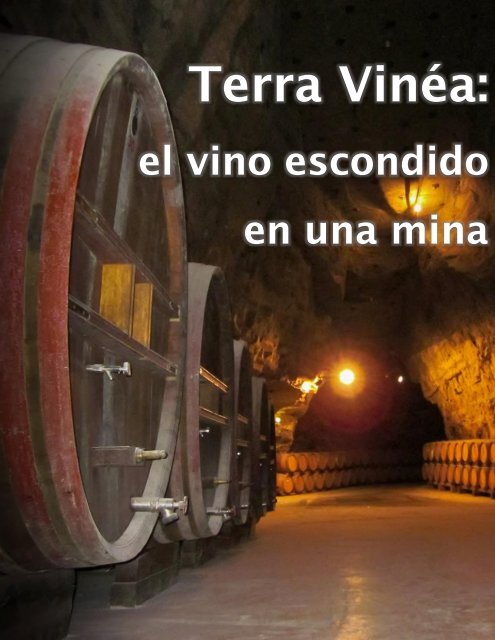 Rosa Gisela Olivis de Gray: Terra Vinea, el vino en una mina