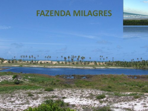 FAZENDA MILAGRES_CONDE_BA_BRASIL 01