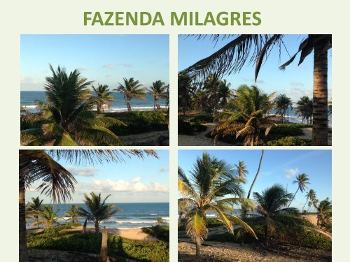 FAZENDA MILAGRES_CONDE_BA_BRASIL 01