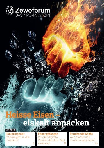 Heisse Eisen – kalt anpacken: Zewoforum 2 | 2017
